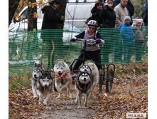 ����� �����.png