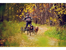 �� ����� 16 10 2011.jpg