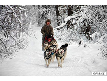 ���������� � ��������.png