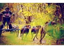 ������ ����� 16 .10.2011.jpg