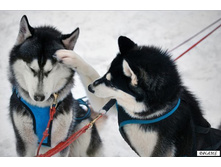 �� ����� �����.jpg