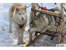 ��� � ���.jpg