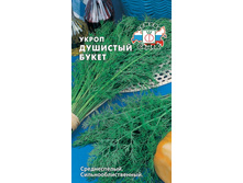 ����� �������� �����