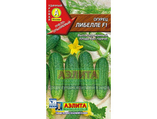 ������ �������