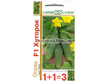 ������ �������