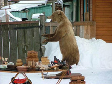 ������. ������