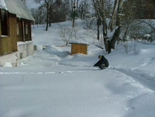 �������� ��� �����