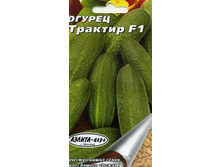 ������ �������