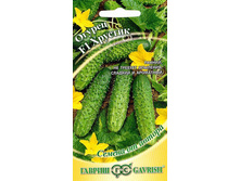 ������ �������