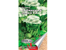 ������ ��������� �����