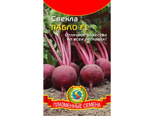 ������ �����