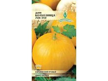 ���� ����������