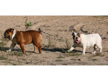 16 ������� �������� ������� 077.jpg