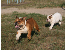 16 ������� �������� ������� 082.jpg