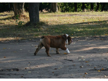 16 ������� �������� ������� 036.jpg