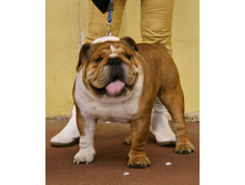 18 ������� �������� 005.jpg