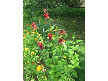 �������