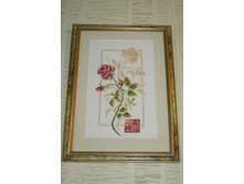 �������� ����