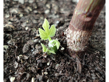 ����� ������ �������.JPG