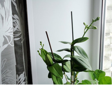 �������� ������� �������.JPG