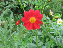 ������� ����������