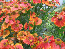 ��������, 80 �.