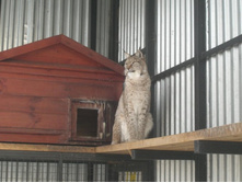 �����, ������� ������ ���� �� ����