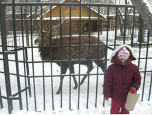 � ��� ��� �����