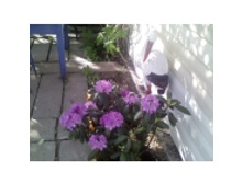 ����� � ������.jpg