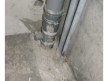 IMG_0056.jpg