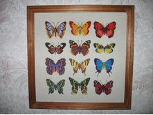 �������