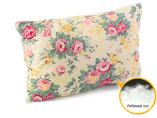 ������� ���