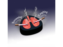 ��������� ���������� 120�