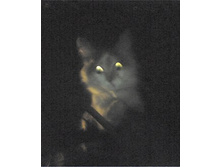 ������� �� ����� ��������