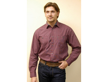 �84�.jpg  450�