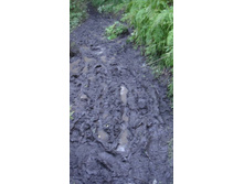 �������� ������� ����� �����. ������ �����