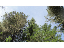 ����� � �����