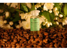 ��� �������