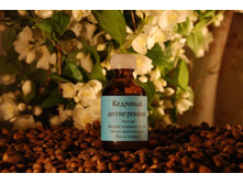 �������� �����������