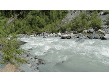 ���� ����� (����� ����)