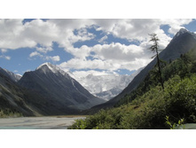 ������ ������ - ����� �. �����, ������ �. �����