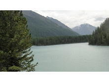 ��. ������������