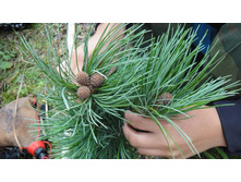 ������� ����� ����� ����