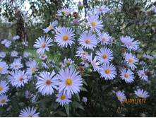 ����������� ����� �������, ������, ���ԣ� � ������� �� ������� ����������