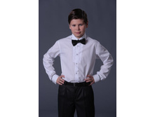 ������� AAS 1252.jpg