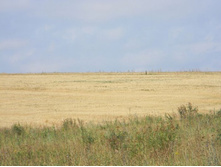 30.08.2010 16:38:34
