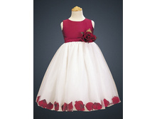 ������ �������� ��� �������