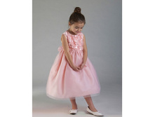 ������ �������� ����