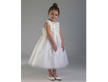 ������ �������� ���� ��������