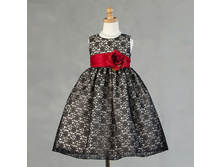 ������  Ja�ky